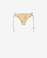 ALVINA BRIEFS
